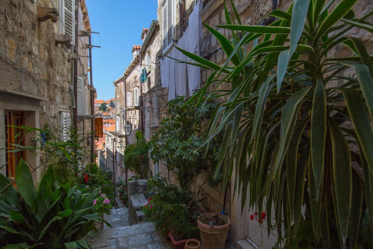 Apartman Mama Marija Dubrovnik Bagian luar foto